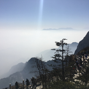 fiee性zozo交体内谢
