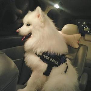 fiee性zozo交体内谢
