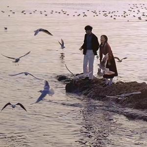 fiee性zozo交体内谢
